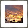 Sarasota Sunset Framed Print