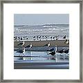 Sea Gulls And Breakers Framed Print