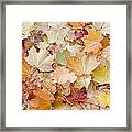Sea Of Leaves Framed Print