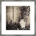 Secret Garden Framed Print