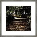 Secret Way Framed Print