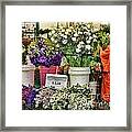 Selecting Flowers Framed Print