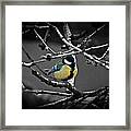 Selective Bird Framed Print