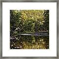 September Evening At The Ponca Access Buffalo National River Framed Print