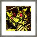 Shadow Dweller Framed Print