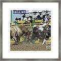Rodeo Shaking It Up Framed Print