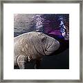 Sharing Smiles Framed Print