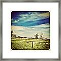 Sheep & Horse In The Field Framed Print