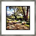 #sheep #flock #baaa #animal #grass Framed Print