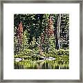 Signs Of Autumn Framed Print