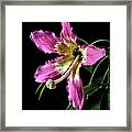 Silk Flower Framed Print
