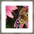 Simple Butterfly Framed Print
