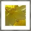 Simplicity Within Framed Print