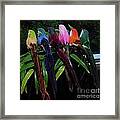 Six Long-tailed Colorful Birds On A Bamboo Leaf Framed Print