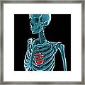 Skeleton And Heart, Artwork Framed Print