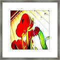 Skywards Framed Print