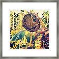 Smiling Sunflower Framed Print