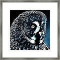 Snow Owl Framed Print