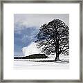 Snowy Field And Tree Framed Print