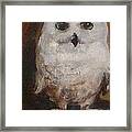 Snowy Owl Framed Print