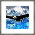 Soaring Framed Print