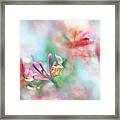 Soft As Honey Framed Print