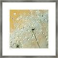 Soft Blue Drops Framed Print