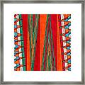 Southwest Guide Framed Print