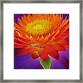 Spectacular Photography Framed Print