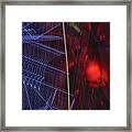 Spider Man Framed Print