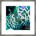 Spider Web Bokeh 1.0 Framed Print