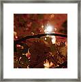 Spotlight On Fall Framed Print