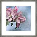 Spring Blossoms For The Cure Framed Print