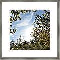 Spring Colors Framed Print