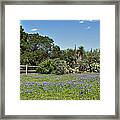 Spring In The Meadow Framed Print