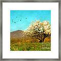 Spring In The Mountains Framed Print