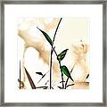 Springtime Zen 1 Framed Print