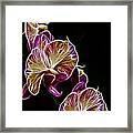 Steeped Orchid Jive Framed Print