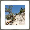 Steps On The Hermit's Rest Trail Ii Framed Print