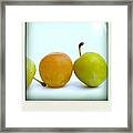 Still Life With Plums. Framed Print