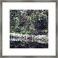 Still Water Framed Print