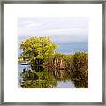 Still Waters Framed Print