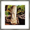 Stone Head Framed Print