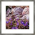 Stop To Smell The Flowers Framed Print