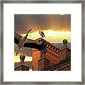 Storks At Sunset Framed Print