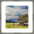 Storm Brewing Framed Print