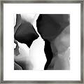 Study In Black And White 102912 Framed Print