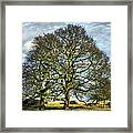 Suffolk Winter Landscape Framed Print