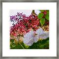 Sumac And Late Roses Framed Print