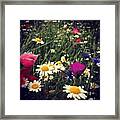 #summer #flowers #flower #instagood Framed Print